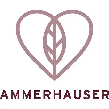 Hotel-restaurant Ammerhauser Hotel