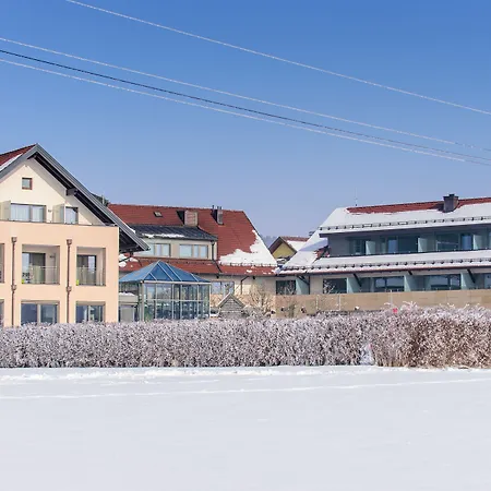 Hotel Hotel-restaurant Ammerhauser 4*