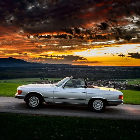 Hotel-restaurant Ammerhauser Anthering