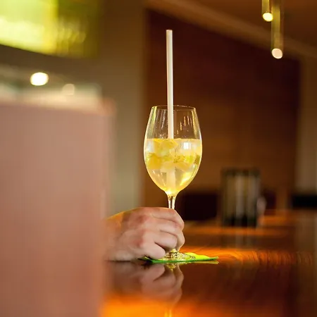 Hotel Hotel-restaurant Ammerhauser Anthering